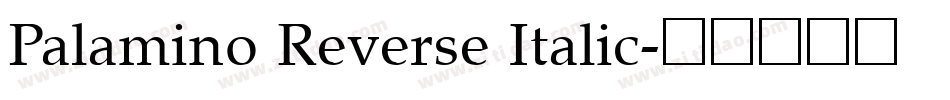 Palamino Reverse Italic字体转换